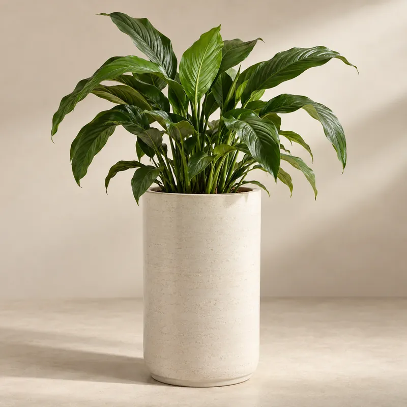 Column Ceramic Planter